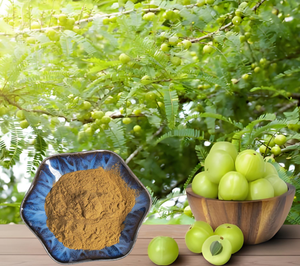 ผงอินเดีย Amla ผงน้ำผลไม้บริสุทธิ์100% จากธรรมชาติ Amla - Product Image 2