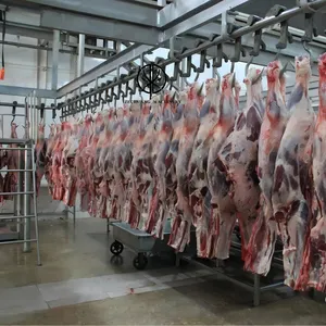 अंतरराष्ट्रीय हलाल खाद्य खड़े वध घर मवेशी भेड़ Skinning मशीन गाय बकरी कसाईखाना संयंत्र पूरा वध