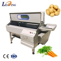 Machine à éplucher automatique, pomme de terre, légumes, ail, nettoyage, lavage