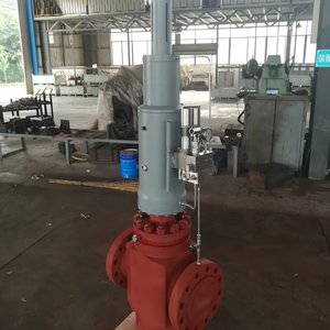 Venta al por mayor: Válvula de compuerta plana hidráulica PFFY 6A de 5000 psi, compuerta paralela para perforación de pozos, forjada en hierro, 1 pieza - Product Image 2