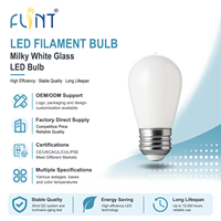 Ampoule LED à filament de verre ST45/ST14, CRI90, dimmable, 2W, culot E26/E27, température de couleur 2200K-6000K, certifiée CE, pour une utilisation multi-scènes