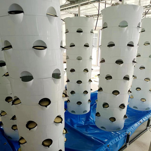 Hot Selling Hydroponics System Irrigation Hydroponics Equipment Hydroponics for Farm - Product Image 4