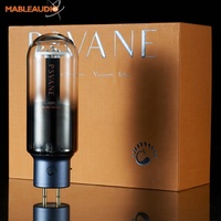Tube d'amplificateur audio professionnel Psvane Acme 211/211, amplificateur audio vintage Hifi DIY