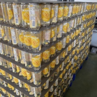 Boisson fruitée pétillante aromatisée à la mangue, faible en sucre, canette 350 ml, marque privée, fabricant OEM
