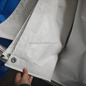 Bâche <span class=keywords><strong>tissée</strong></span> Bâche esthétique Bâches de protection contre les intempéries pour terrain de football <span class=keywords><strong>130g</strong></span> Bâche Pe bleue et blanche - Product Image 5