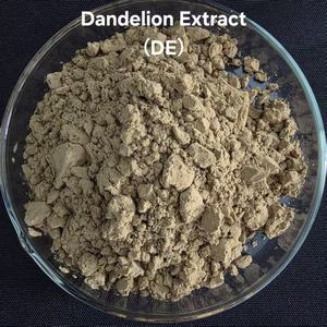 Pó de Extrato Herbal de Raiz de Dente-de-Leão Natural Personalizável, Extraído por Solvente, 99% de Ácido Clorogênico Padrão, Grau Alimentício, 25kg - Product Image 2