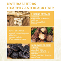 Sérum capillaire unisexe au Ganoderma hydratant et réparateur pour cheveux gris et ternis 30ml