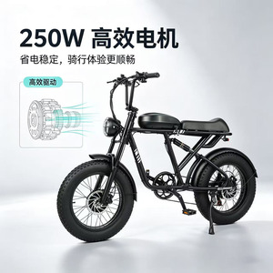 Bicicletta Elettrica Retrò per Adulti con Pneumatici Larghi, E-Bike da 20 Pollici per Tutti i Terreni, Motore da 250W, Batteria Rimovibile da 48V 15Ah, Lunga Autonomia, Pedalata Assistita - Product Image 2