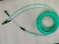 Kabel rakitan berbentuk Y dengan serat optik OM3 OM4 8 serat, APC MPO, untuk koneksi kecepatan tinggi jarak pendek di pusat data.