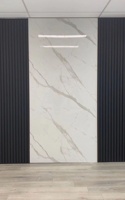 Panel de Pared para Baño de Hotel de Lujo Ecológico, PVC Ignífugo e Impermeable con Función Antiestática, Diseño Moderno Clásico y Flexible
