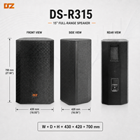 Haut-parleur professionnel DSZ DS-R315 à 2 voies, 15 pouces, pleine gamme, en contreplaqué de bouleau, avec garantie d'un an, pour karaoké et lieux événementiels