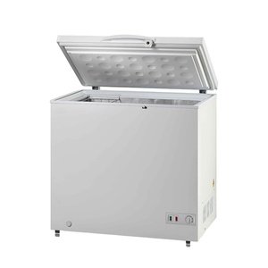 Congelador Horizontal Doméstico con Puerta de Espuma para Almacenamiento de Alimentos Fríos, 197l - Product Image 1