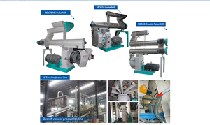 Machine à granulés de biomasse industrielle à haute efficacité, à matrice annulaire horizontale, pour granulés de bois - Product Image 4