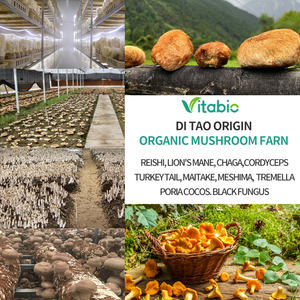 Экстракт натурального гриба Pleurotus Citrinopileatus (золотой устричный гриб) с 30% полисахаридов - Product Image 4