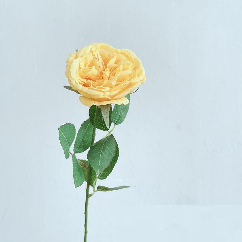 สีเหลือง