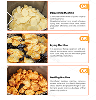 Shepody CE-gecertificeerde aardappelchipsmachine 30-50kg/uur productielijn voor aardappelchips voor de verwerking van fruit en groenten