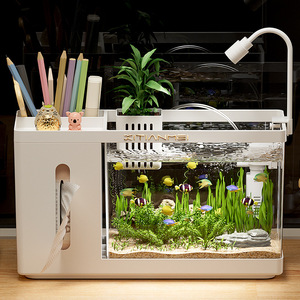 Scatola Multifunzionale Creativa in Plastica per Allevamento, Acquario Idroponico Ecologico Trasparente, Contenitore per Tessuti - Product Image 1