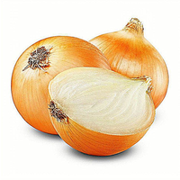 Moon Star Brand Ui Zaad Texas Grano Geel OPV 99,99% Zuiverheid Pakistan Oorsprong 85% Kiembaarheid 7% Vocht Professional