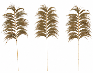 Herbe de la Pampa Séchée Naturelle Écologique Style Bâton de Bambou pour Remplissage de Vase Décoratif pour Mariage et Décoration Intérieure - Product Image 1