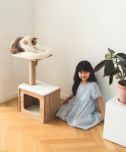 Wholesale Sturdy Real Wood <strong>Cat</strong> Play House <strong>Cat</strong> <strong>Scratching</strong> <strong>Tree</strong> with Hammock Toys for <strong>Cats</strong> - Product Image 5