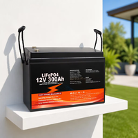 Batterie LiFePO4 à décharge profonde 12V 24V 48V 100Ah 200Ah 300Ah 400Ah 600Ah pour panneaux solaires, camping-cars et stockage d'énergie domestique