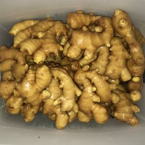 Китай, Шаньдун, свежий имбирь, горячая Распродажа, экспорт, Канада - Product Image 3
