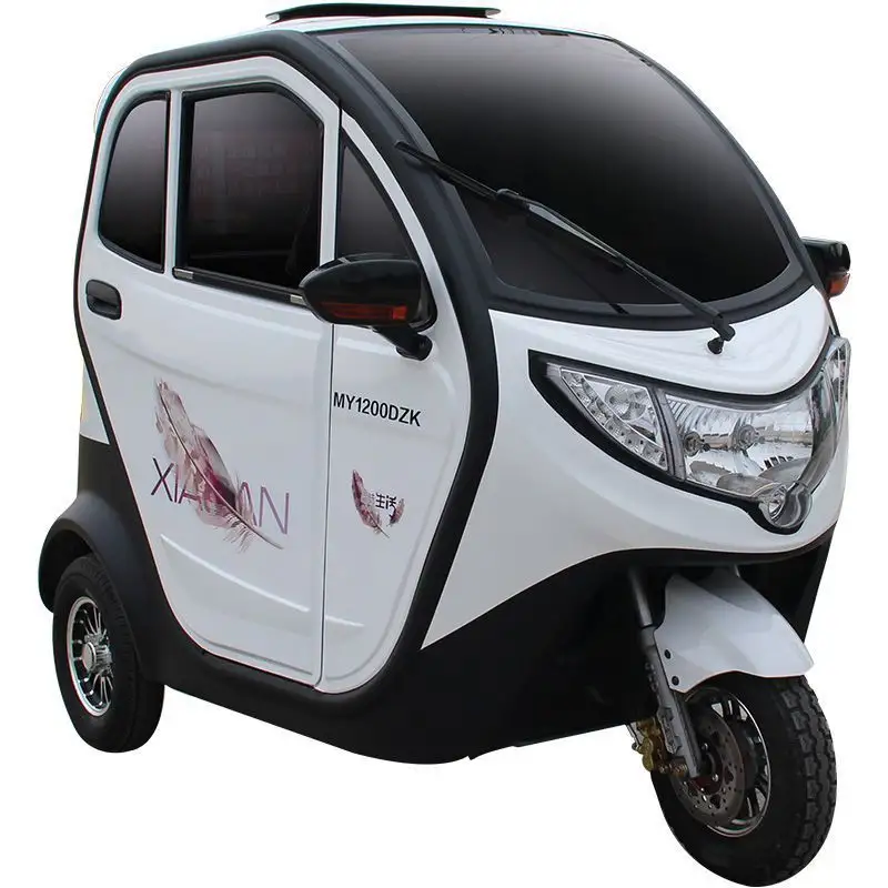 Moto pour adultes, voiture Cargo, véhicule familial, moyen-orient, entièrement fermé, Tricycle électrique à 3 roues