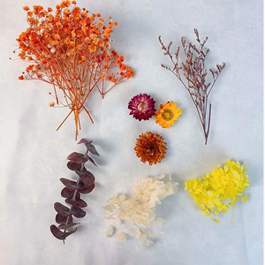 Décoration <span class=keywords><strong>Fleurs</strong></span> Séchées en Gros <span class=keywords><strong>Fleurs</strong></span> Naturelles Séchées Plantes Séchées pour Artisanat Fabrication de Bougies Art de la Résine Photographie - Product Image 6