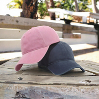 Casquettes de baseball personnalisées brodées en tissu Oxford à 6 panneaux avec motif feuille, haute qualité, unisexe, pour adultes, vente en gros fabricant