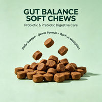 Complément alimentaire pour la santé intestinale des chiens et des chats Gut Balance Soft Chews Probiotic Prebiotic Digestive Care