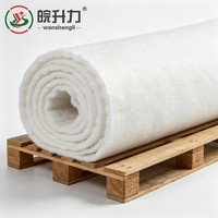 WSL Tissu géotextile flexible en filaments non tissés robustes pour la stabilisation des sols, idéal pour les barrages, les chutes d'eau et les travaux d'ingénierie anti-érosion des pentes
