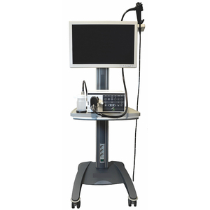 Endoscopio de vídeo para caballos y animales, endoscopio flexible para animales grandes y pequeños, 1,8/2,4mm, 2,8mm - Product Image 3