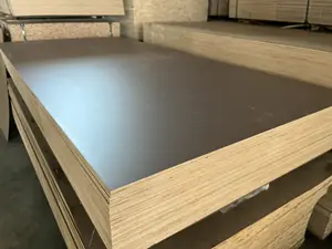 Plykea anpassbare umweltfreundliche Birke Sperrholz und Formica Küchenschranktür mit 12 mm und 18 mm Furnier-Optionen