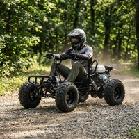 Go Kart para Adultos y Niños, Kart Todoterreno de Alta Velocidad con Motor de 4 Tiempos, Arranque Manual y Freno de Disco