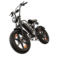 Vélo Électrique en Promotion 750W 48V 15AH Batterie Ebike Pneus Larges VTT Tout-Terrain Moto Électrique pour Adulte