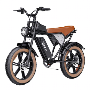Factory Direct OEM ODM Accepted the Electric Mountain Bike with Hydraulic Disc Brakes and Rear Suspension Fat Tire Electric Bike - Product Image 5