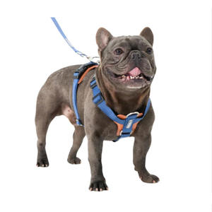 Üreticileri yeni tasarım lüks Pet köpek koşum Set ayarlanabilir hiçbir çekme eğitim köpek yelek aksesuarları tasma köpekler için - Product Image 4