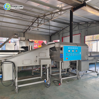Ligne de production entièrement automatique de frites surgelées industrielles, machine à fabriquer des chips de manioc frais et des chips de pommes de terre