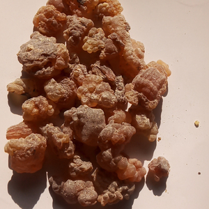 批发茹香纯干红hojari阿曼乳香谷物出售 - Product Image 5
