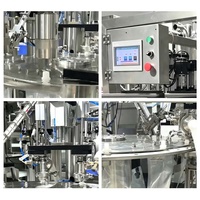 CE Twin-head automatische 30-2000ml spuitzak rotatie vul- en afsluitmachine voor yoghurt, fruitsap, dranken en detergenten
