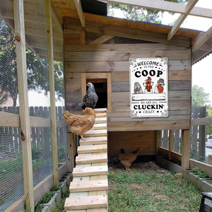 Divertida Letrero Metálico para Gallinero, Decoración para Patio Trasero o Granja, Letras 'We Are All Cluckin Crazy', Arte Mural para Gallinero - Product Image 1