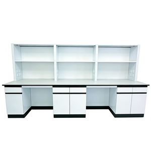 Arredamento da Laboratorio: Banco da Laboratorio con Porta-Reagenti e Armadietti a Muro. - Product Image 2