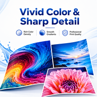Proveedor de Tinta Eco Solvente de Marca Privada OEM, 1L CMYK para Impresión de Pancartas de Vinilo Epson I3200 XP600, Suministro de Fábrica