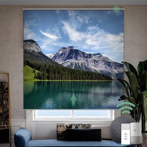 <span class=keywords><strong>Tende</strong></span> Oscuranti per Finestre con Controllo Intelligente, Stampa Digitale 3D Personalizzata di Immagini e Loghi, Protezione Solare per Uffici e Negozi - Product Image 1