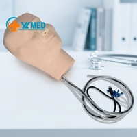 Simulador de Hemorragia Nasal Electrónico de PVC para Ciencias Médicas, Modelo de Entrenamiento de Enfermería Hemostática de Plástico para Escuelas y Hospitales, CE/ISO