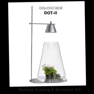 Aquascape DOT-II Modernes Glas-<span class=keywords><strong>Terrarium</strong></span>-Set für den Schreibtisch - Hochzeits-Tischvase <span class=keywords><strong>Terrarium</strong></span> Glasbehälter - Product Image 2