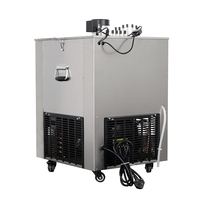 Machine à Bière Pression Acier Inoxydable Très Vendue, Distributeur de Boissons Type Tour, Pompe à Boissons