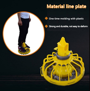 Floor <strong>Raising</strong> <strong>Chicken</strong> Farming <strong>Feeding</strong> System Automatic Poultry Machine Equipment - Product Image 3