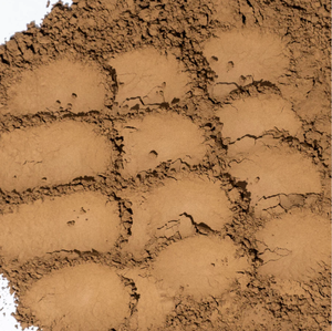Poudre de thé vert Hojicha torréfié instantané, biologique, pur et naturel, marque privée - Product Image 3