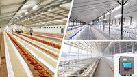 Tube lumineux LED étanche sans scintillement, à intensité variable, spectre complet, pour poulets de chair, lumière LED pour élevage de poulets